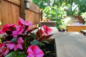 Backyard Patio
